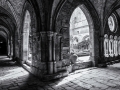 abbaye de Fontfroide/ le cloître