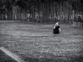 DSC_5034-Modifier
