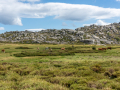Plateau du Cuscionu/Corse