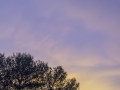 _DSC0586