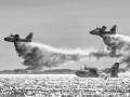 DSC_3368-Modifier