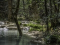 Huveaune, Sainte Baume/Petit fleuve provencal