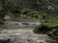 Huveaune, Sainte Baume