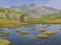 France, Mercantour/ Lac de Morgon