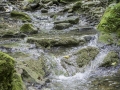 Provence/ Buoux