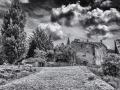 Provence/ Sivergue