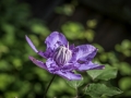 _DSC9171