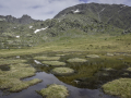 Mercantour/France