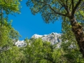 La Sainte Baume, Provence, France