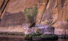 Colorado Du fleuve à Monument Valley