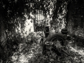 DSC_1482-Modifier