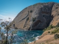 DSC_1278