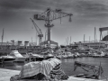 DSC_1375-Modifier