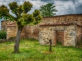 DSC_2237-HDR