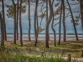 DSC_3567-HDR
