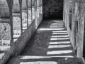 DSC_1660-Modifier
