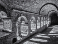 DSC_1668-Modifier