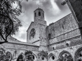 abbaye de Fontfroide/ Le cloître