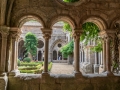 abbaye de Fontfroide/ le cloître