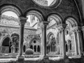 abbaye de Fontfroide/ le cloître