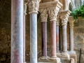 abbaye de Fontfroide/ le cloître