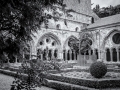 abbaye de Fontfroide/ le cloître