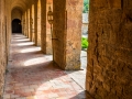 abbaye de Fontfroide/ La terrasse
