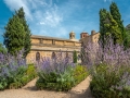 abbaye de Fontfroide/ roseraie