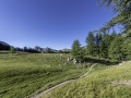 Allos / Mercantour