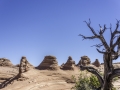 Arches National Park/ Moab USA