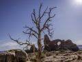 Arches National Park/ Moab USA