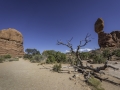 Arches National Park/ Moab USA