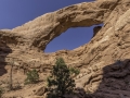 Arches National Park/ Moab USA