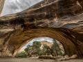 Arches National Park/ Moab USA