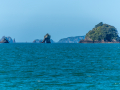 Nouvelle Zélande/Wharekaho