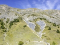 Aurons