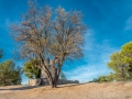 Ventabren/ le Moulin
