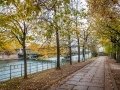 Ile aux cygnes/Paris