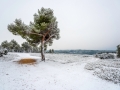 Provence / Ventabren sous la neige