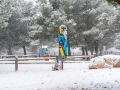 Provence / Ventabren sous la neige