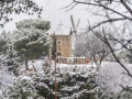 Provence / Ventabren sous la neige