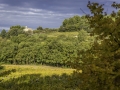 Gigondas / France