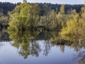 Reflets / Coudoux