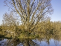 Reflets / Coudoux
