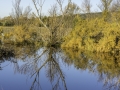 Reflets / Coudoux