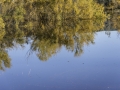 Reflets / Coudoux