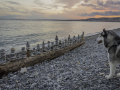 Baie des Anges, Nice