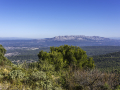 Pilon du roi/France