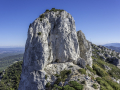 Pilon du roi/France