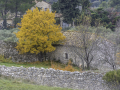 Provence/Eygalieres